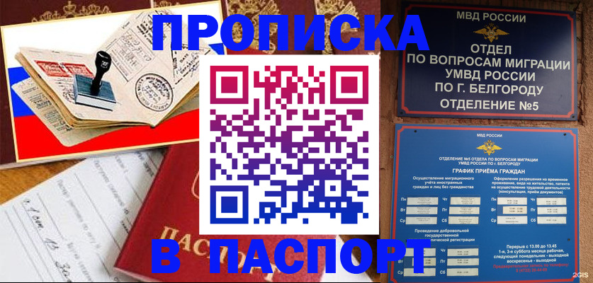 купить прописку в Обояни